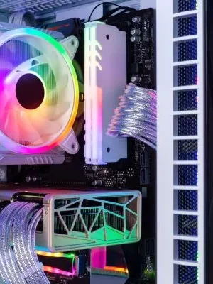 xshutterstock_1917588023